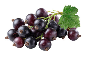Fototapeta premium Cluster of dark purple blackcurrants with a leaf