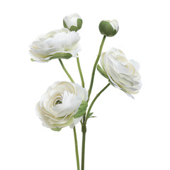 Elegant White Roses Arrangement with Green Leaves for Decoration
