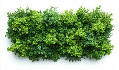 Obraz premium Top view of greenery and trees in a landscape, isolated for background use, perfect for environmental or nature-based designs, Generative AI