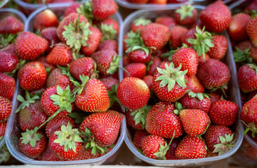 Strawberries in a plastic container, at a street market, in a supermarket.