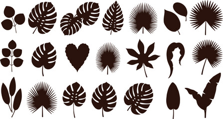 Palm Leaves Silhouette