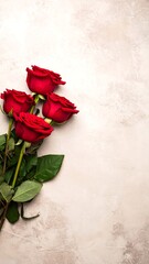 Romantic red roses on a textured background