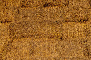 rectangular stacks of straw in the field , stacked one on one stack of wheat straw after grain harvest