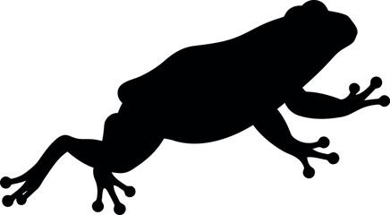 Jumping frog silhouette