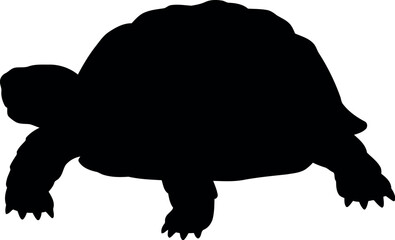 Black tortoise silhouette isolated on white background