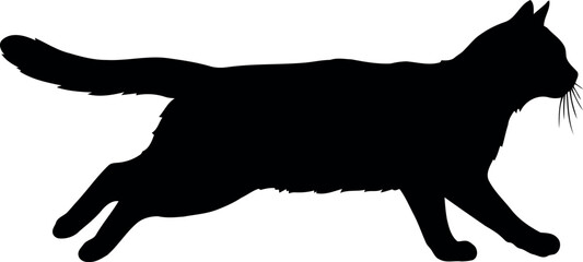 Black cat silhouette running