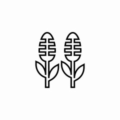maize corps icon sign vector
