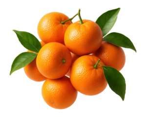 Fresh ripe oranges with vibrant green leaves clustered together on transparent background.