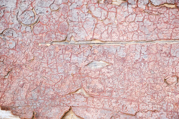 High-resolution texture of red cracked peeling paint on wood. Weathered surface with flakes and deep cracks. Includes color, monochrome and processed versions.