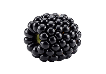 Isolated Close-up of a Blackberry