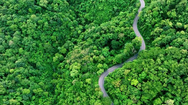Aerial view of a road in the middle of the forest , road curve construction up to mountain