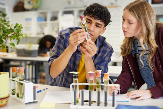 Multiethnic student checking and examining science experiment with plant