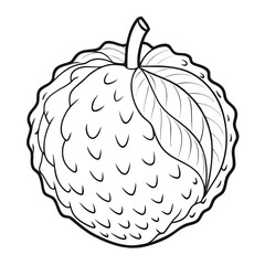 A peeled lychee in fine outline vector, white background
