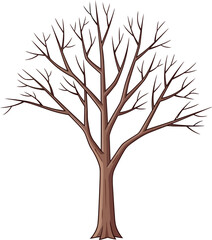 Obraz premium A simple illustration of a deciduous tree with bare branches against a plain white background image scene