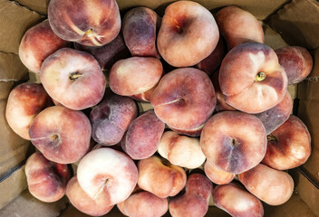 Paraguayans in a fruit shop