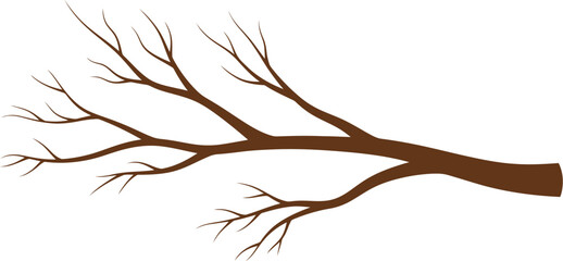 Fototapeta premium A brown tree branch with many smaller branches extending from it on a white isolated background scene view