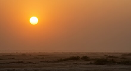 Desert sunset a vivid orange sky and silhouetted landscape scene