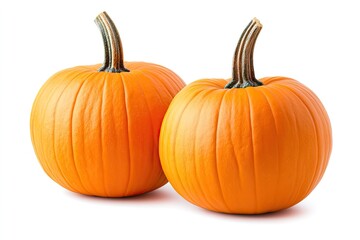 Pumpkins in a Festive Fall Setting Isolated on White Background, Depth of Field