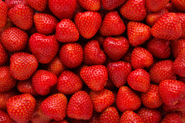 Red bright strawberries background. Fresh berries. Closeup. Top down view.