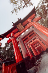 Series of red torii gates at Fushimi Inari Taisha, photographed at Dutch angle with soft vintage...