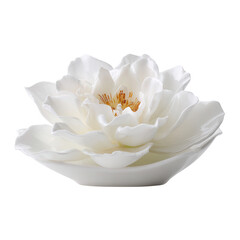 A serene white lotus flower beautifully displayed in a porcelain bowl, set against a striking white background, creating a peaceful and elegant ambiance.
