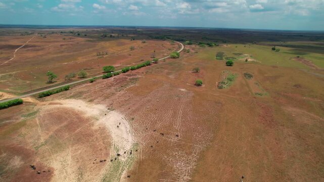 Aerial Panorama of Apure Plains, Venezuela: Mucuritas Parish Landscape