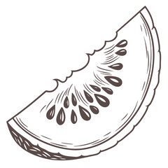 Illustration of a melon slice with a bite taken out, isolated on white background