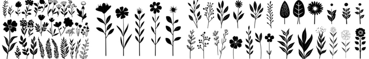 Modern illustration featuring hand drawn botanical elements like herbs, flowers, leaves, and branches in abstract line art