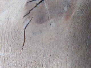 Wood texture