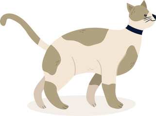 Light brown and white cat wearing a dark blue collar walking gracefully while raising its tail, depicted in a charming side view as a simple flat vector illustration