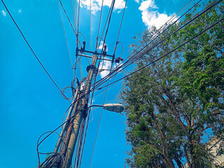 high voltage power lines beside the tree