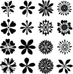 Set of sixteen black and white floral pattern designs with unique petal arrangements and decorative botanical elements for print