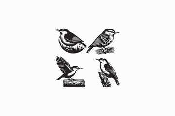 A Nuthatch bird vector silhouettes black image made by adobe illustrator .eps