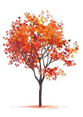Vibrant autumn tree illustration art