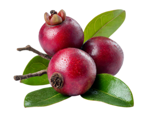 Kokum Organic Juice Boosts Immune System