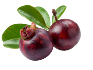 Kokum Organic Juice Boosts Immune System