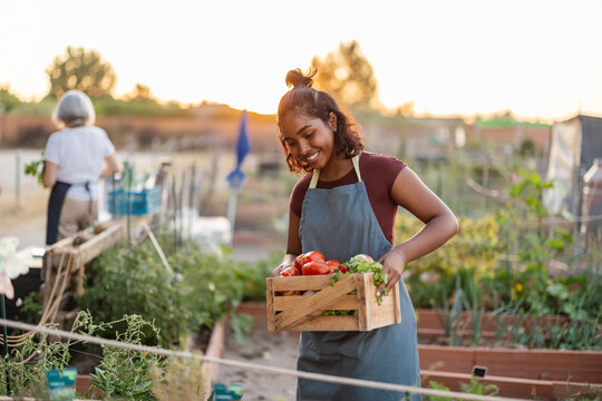 Young farmer woman holding wooden box with fresh vegetables in community garden