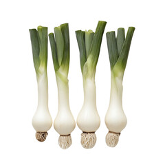 Four fresh green onions isolated on transparent background