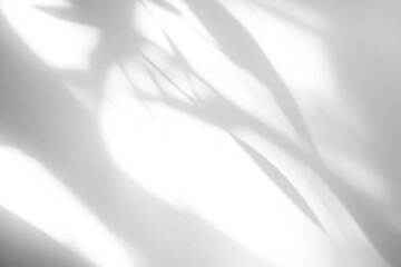 shadow overlay effect of realistic abstract natural tree leaves shadow on white wall background,summer sunlight abstract shadow overlay