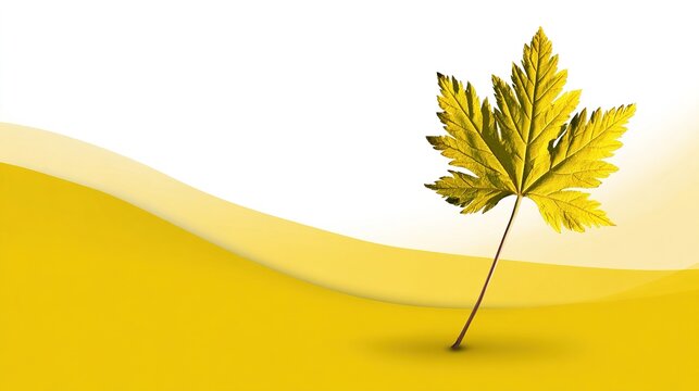 Simple Maple Leaf on Yellow and Fresh Background &ndash; Minimalist Autumn Foliage Against Bright, Crisp Backdrop, Capturing Freshness of Fall