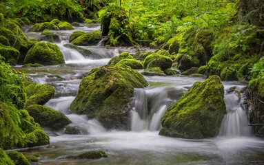 Fototapeta premium waterfall in the forest