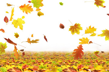 Herbst 214