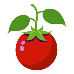 tomato vector illustration
