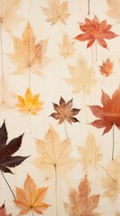 Obraz premium Real pressed maple leaves backgrounds wallpaper textured.