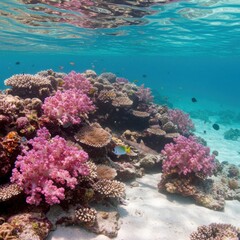 Naklejka premium Vibrant coral reef ecosystem with colorful fish in tropical turquoise waters isolated on white background