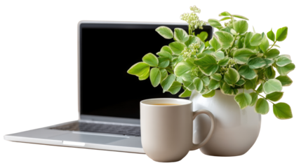 Fresh Green Plant Beside Laptop and White Mug on a Minimalist Desk for Relaxing Work Environment