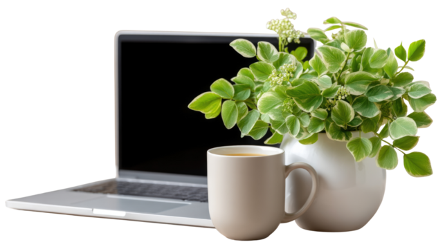 Fresh Green Plant Beside Laptop and White Mug on a Minimalist Desk for Relaxing Work Environment