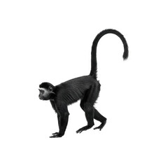 Fototapeta premium Black-headed spider monkey generative AI