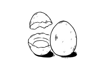 hand drawn sketch egg shell broken illustration