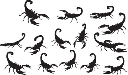 Twelve black silhouette illustrations of scorpions in various poses on a white background animal wildlife